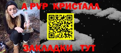 меф Кингисепп