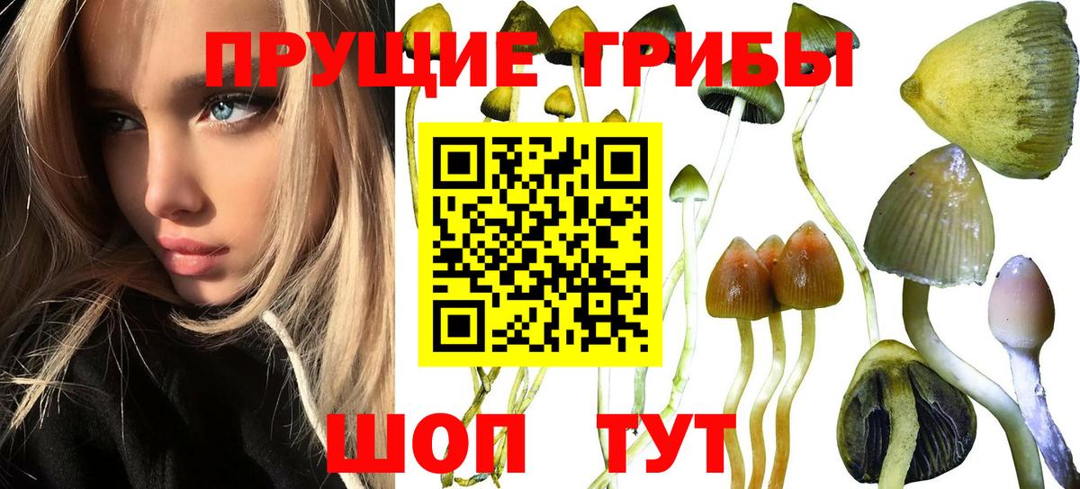 Семёнов  Галлюциногенные грибы мухоморы  Вход с VPN 